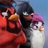 Angry Birds Evolution Mod icon